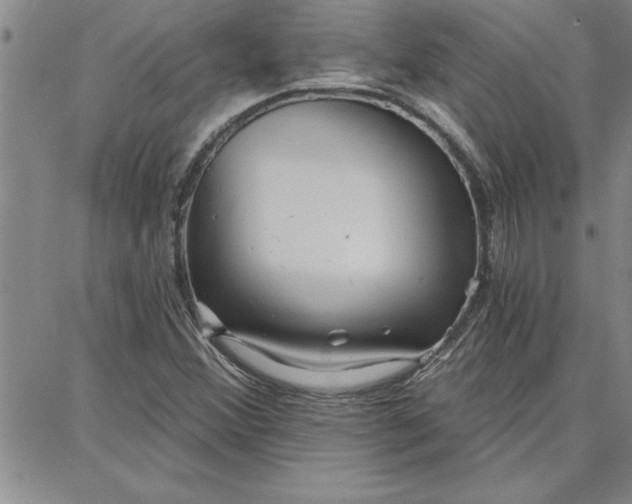 X0000087741356200705211002