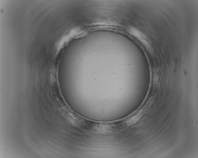 X0000087741357200705211002