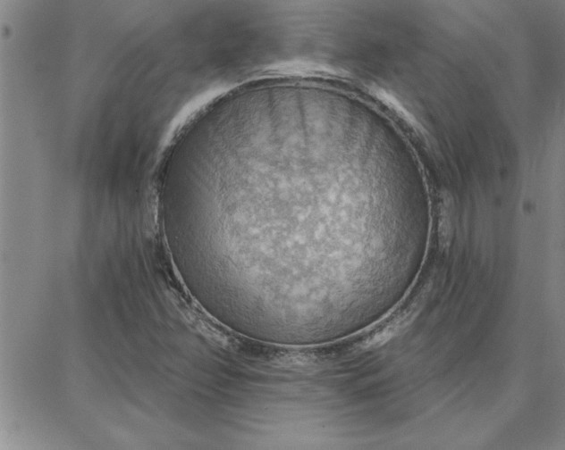 X0000087741358200705211002