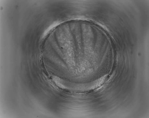 X0000087741359200705211002