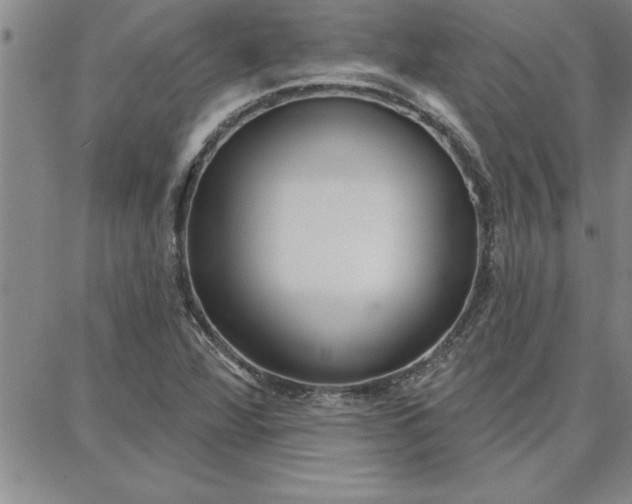 X0000087741360200705211002