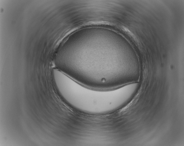 X0000087741361200705211002