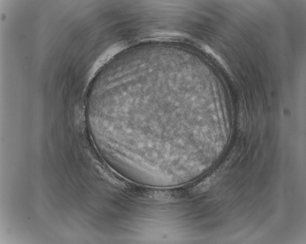 X0000087741362200705211002