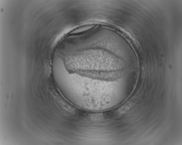 X0000087741363200705211002