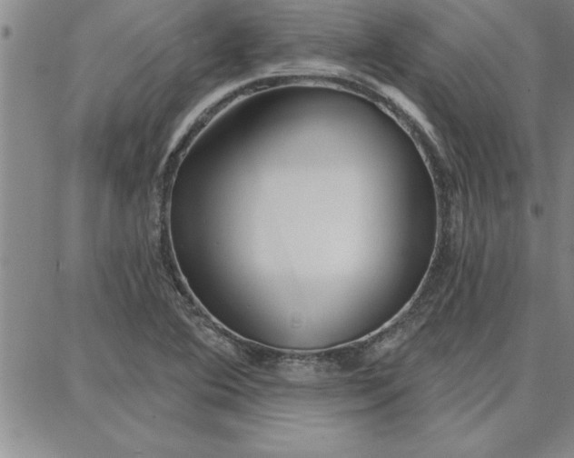 X0000087741364200705211002