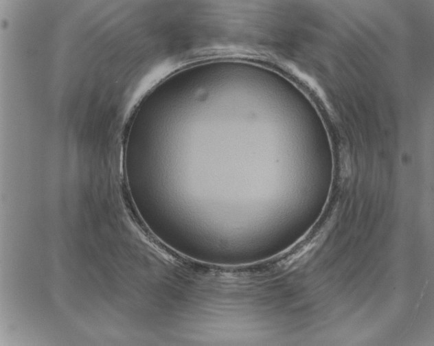 X0000087741365200705211002