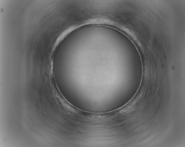 X0000087741366200705211002