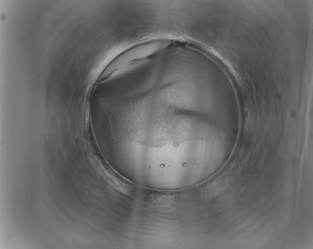 X0000087741367200705211002