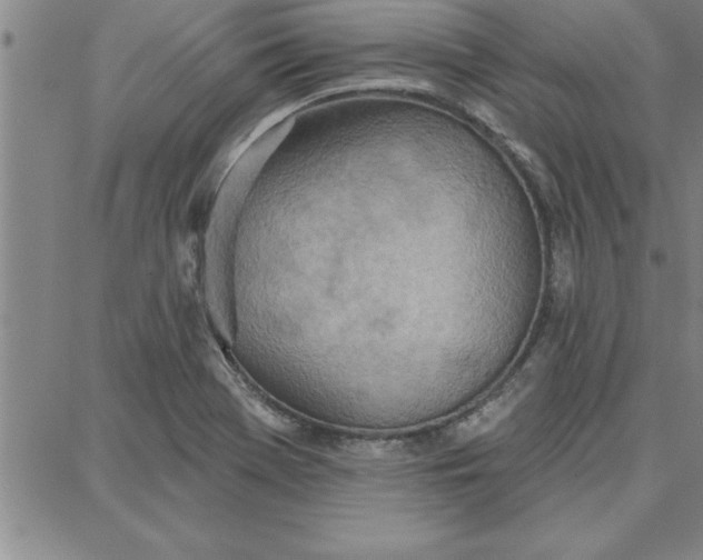 X0000087741369200705211002