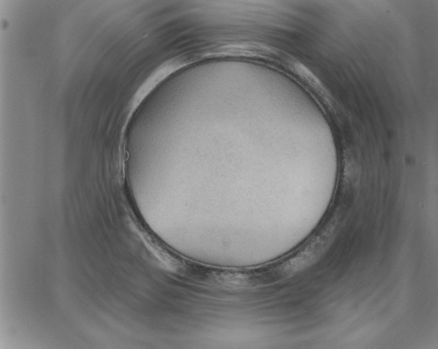 X0000087741370200705211002