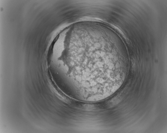 X0000087741371200705211002