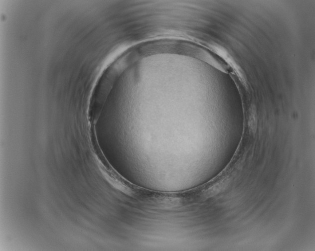 X0000087741372200705211002