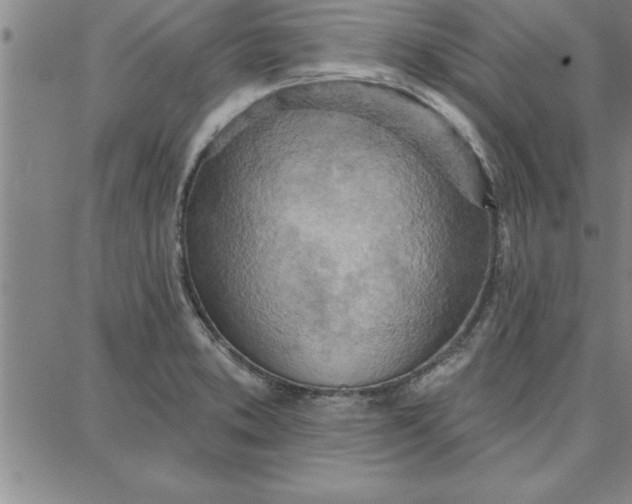 X0000087741373200705211002