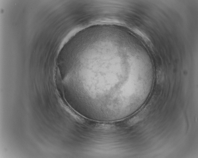 X0000087741374200705211001