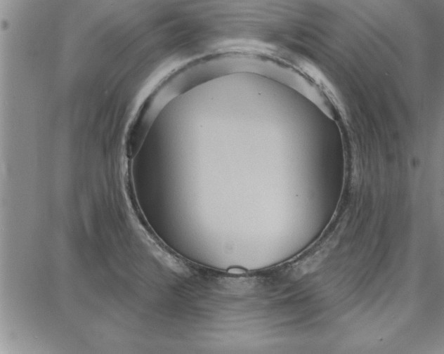 X0000087741376200705211001