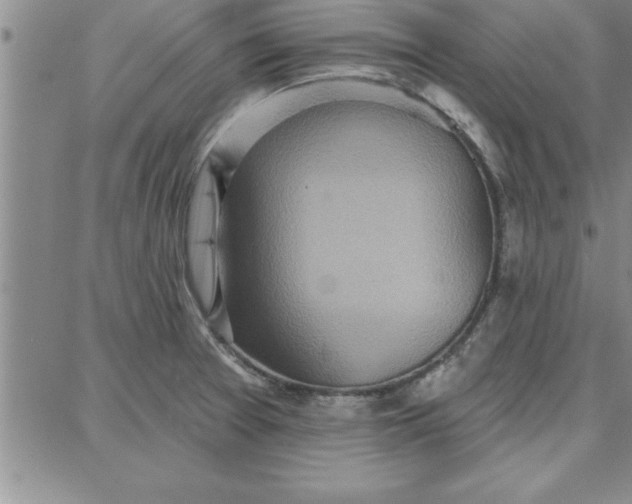 X0000087741377200705211001