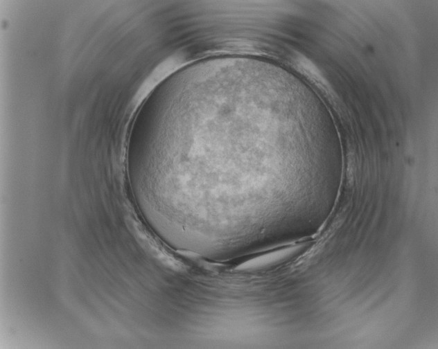 X0000087741378200705211001