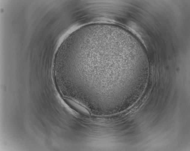 X0000087741379200705211001