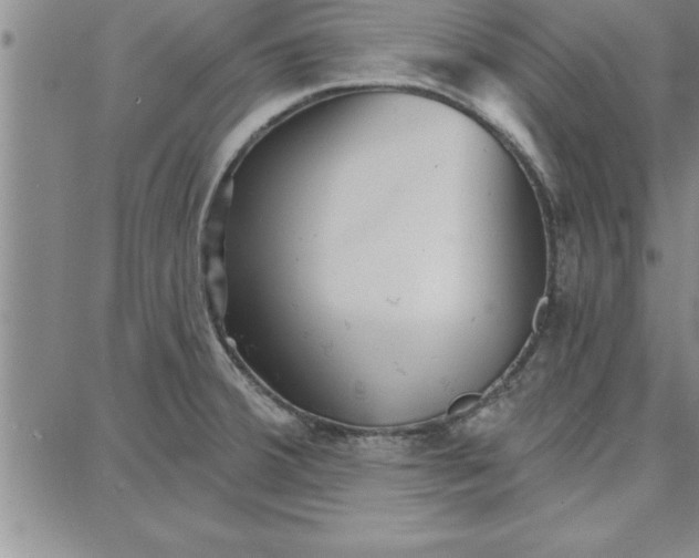 X0000087741380200705211001