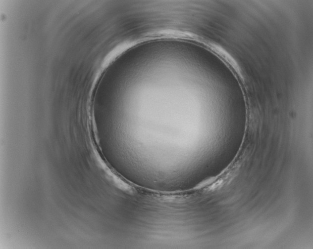 X0000087741381200705211001