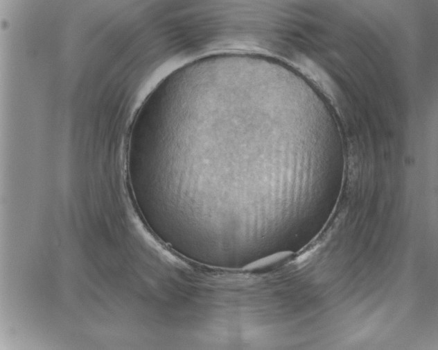 X0000087741382200705211001