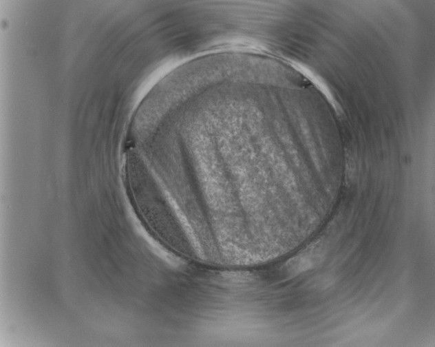 X0000087741383200705211001