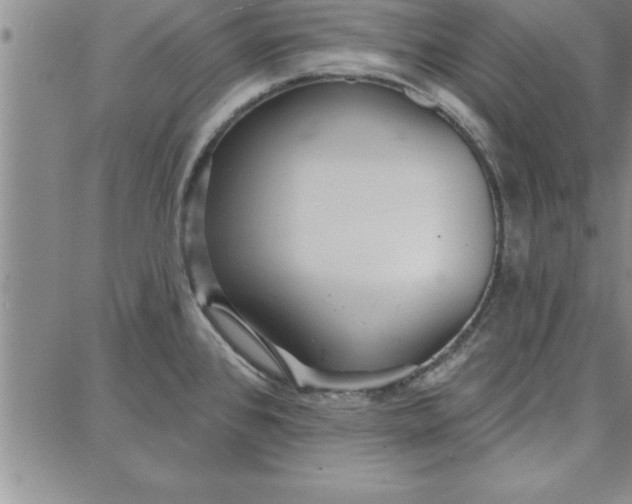 X0000087741384200705211001