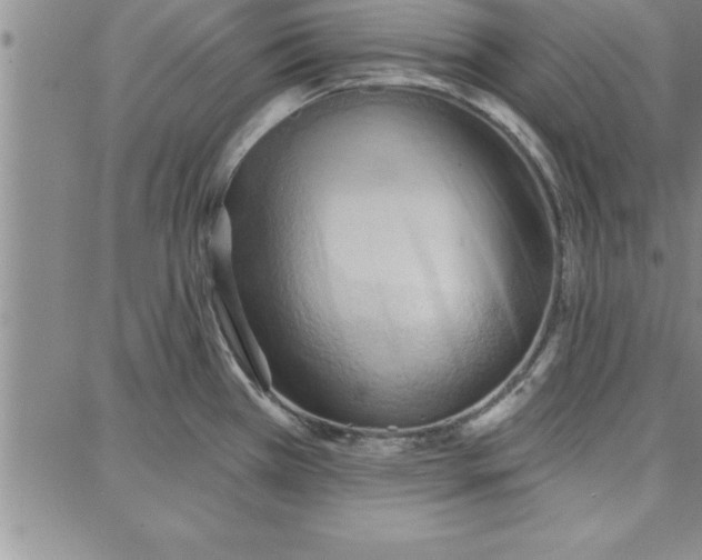 X0000087741385200705211001