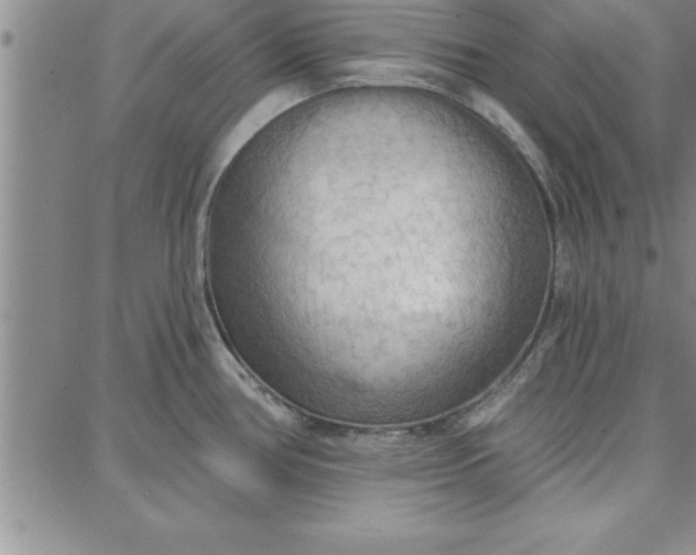 X0000087741386200705211001