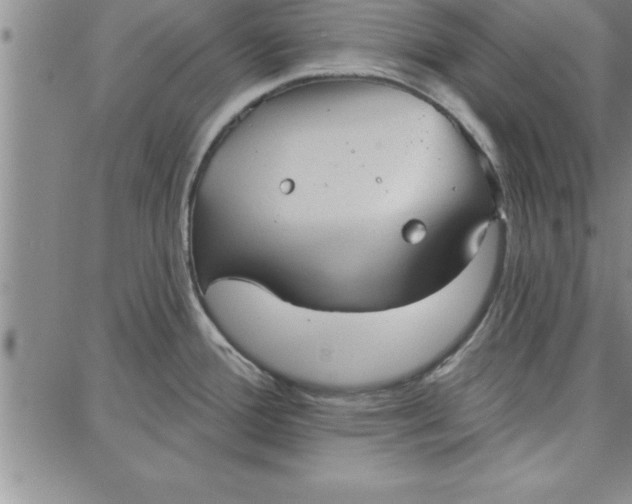 X0000087741388200705211001