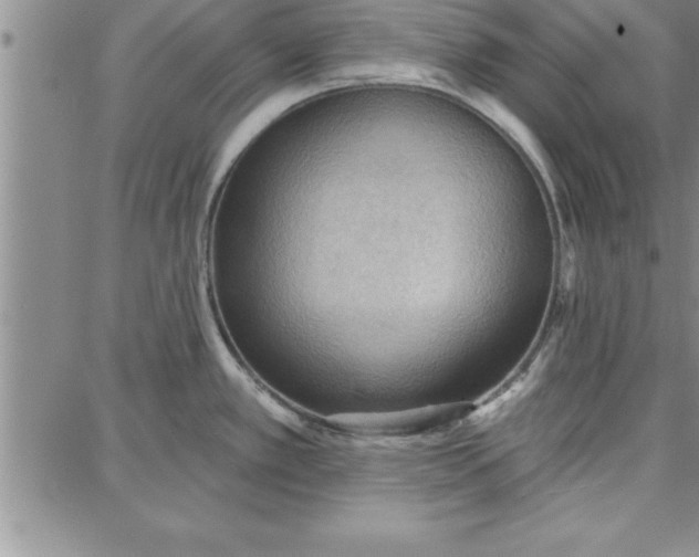 X0000087741389200705211001