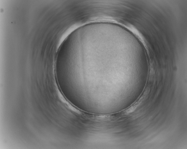 X0000087741390200705211001