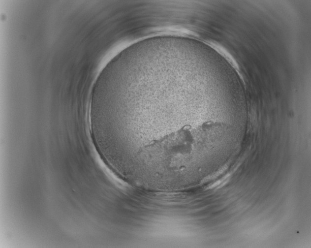 X0000087741391200705211001