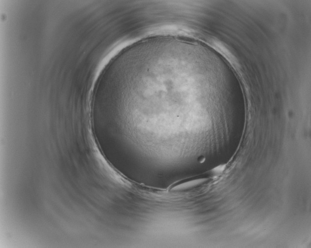 X0000087741392200705211001