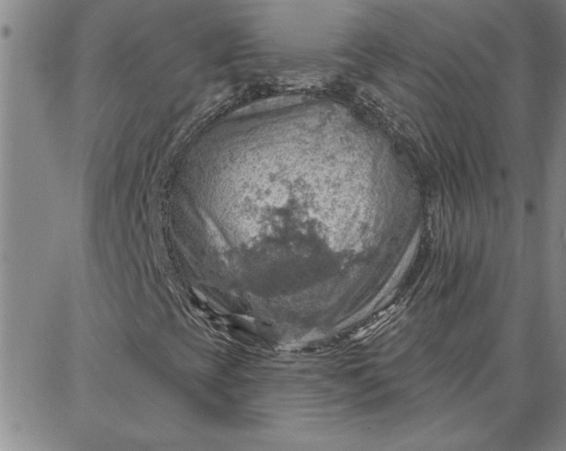 X0000087741393200705211000