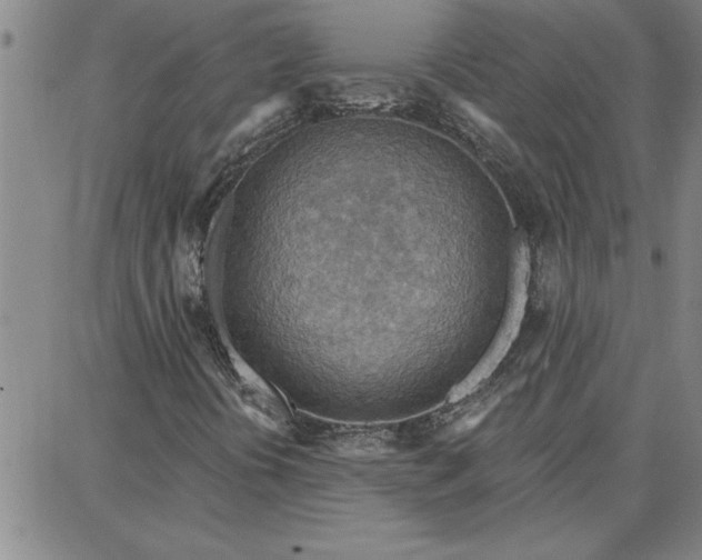 X0000087741394200705211000