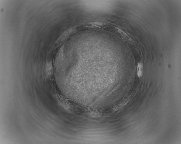 X0000087741395200705211000