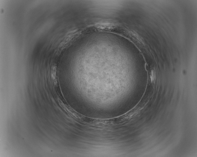 X0000087741396200705211000