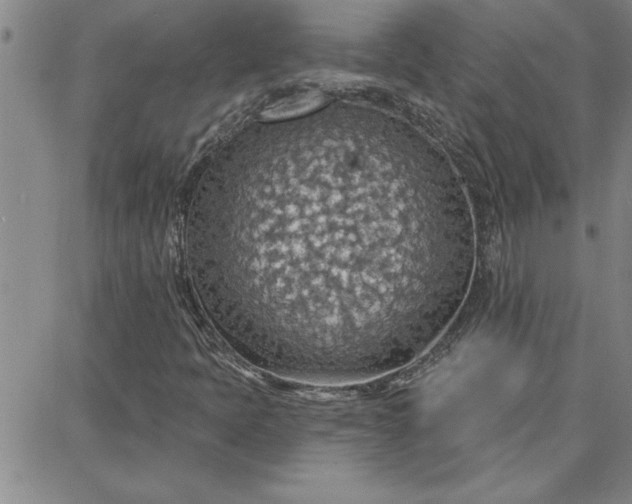 X0000087741397200705211000