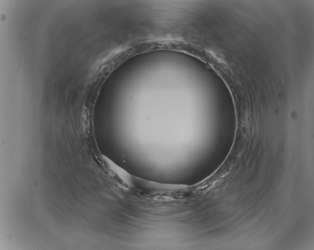 X0000087741398200705211001