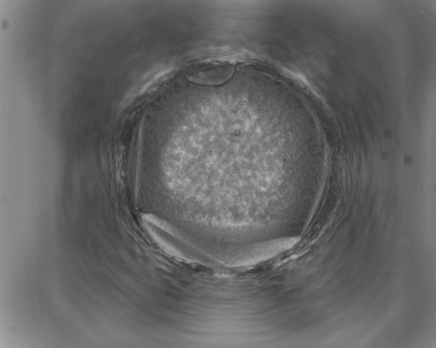 X0000087741399200705211001