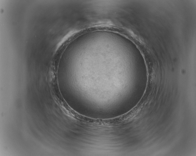 X0000087741400200705211001