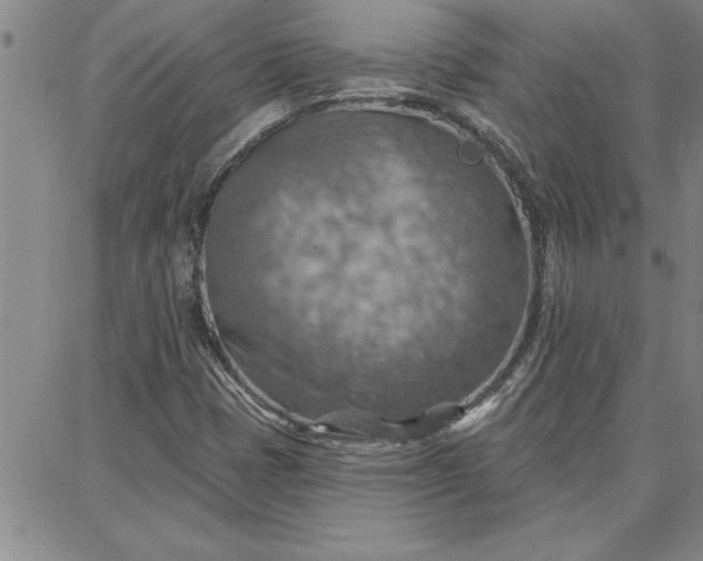 X0000087741401200705211001