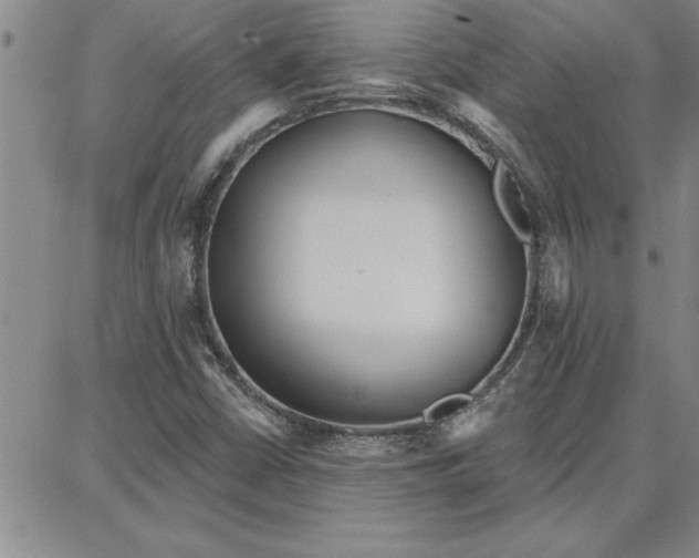 X0000087741402200705211001