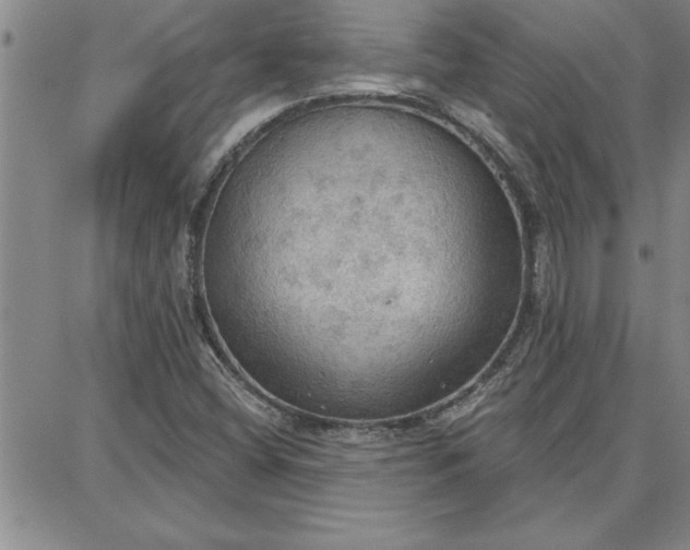 X0000087741404200705211001