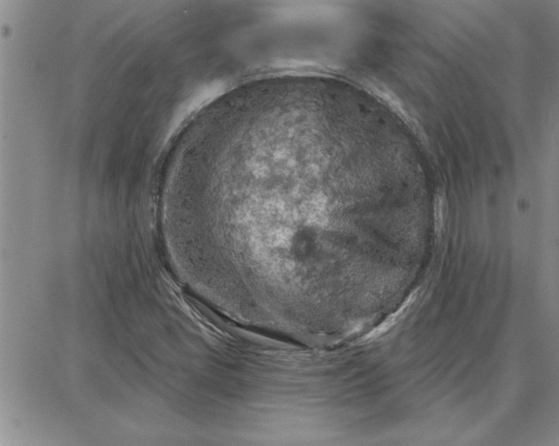 X0000087741405200705211001