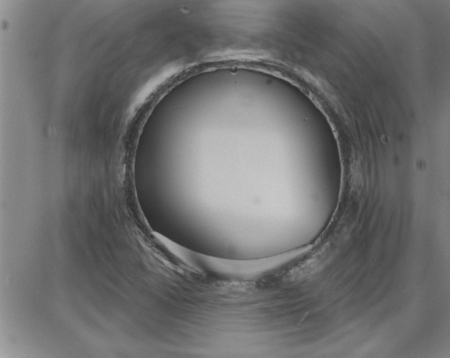 X0000087741406200705211001