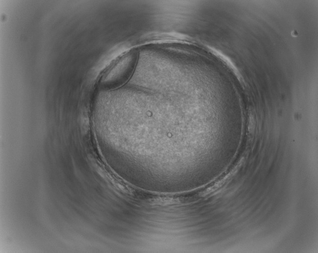 X0000087741407200705211001