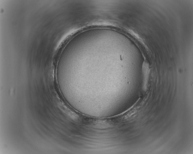 X0000087741408200705211001