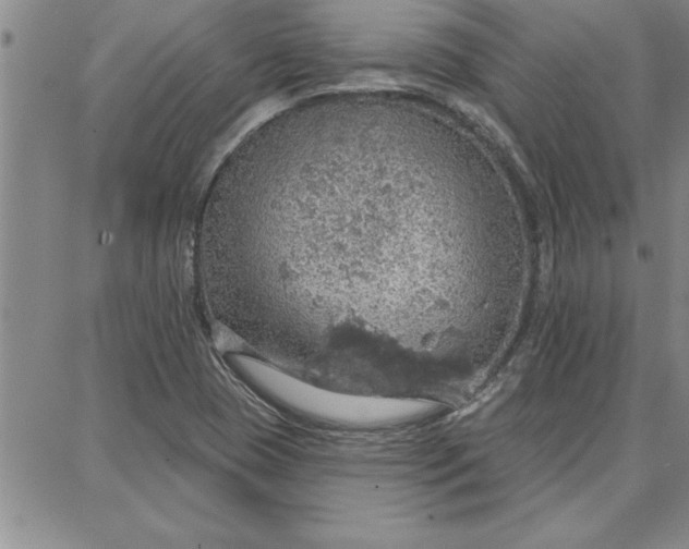 X0000087741409200705211001